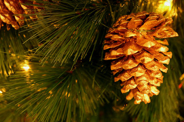 Fototapeta premium Shiny gold colored dry pine cone ornament hanging on sparkling Christmas tree 