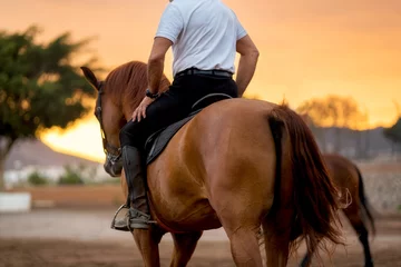 Foto auf Acrylglas Reiten Pferdetraining bei malerischem Sonnenuntergang