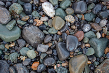 Shiny Wet Stone Mosaic at the Beach