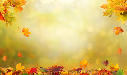 Autumn maple leaves on wooden  table.Falling leaves natural background. © Lilya