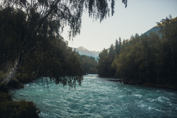 Mountain and cold river of Altai
