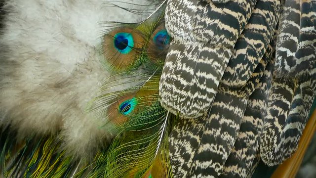Elegant wild exotic bird with colorful artistic feathers. Close up of peacock textured plumage. Flying Indian green peafowl (Pavo cristatus) in real nature, vibrant pattern of luminous tail and wings.