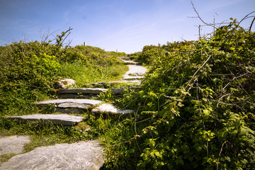 Beautifull path near Cahergall Stone Fort, Ireland