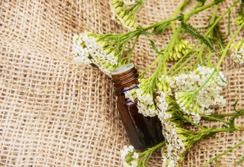 Essential yarrow oil A small bottle 