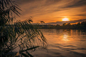 Beautiful sunset view behind willows on a lake