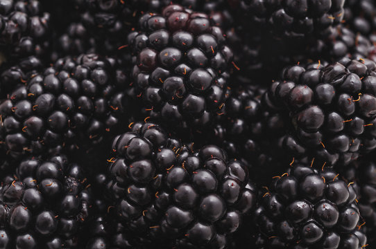 Berries blackberries closeup.