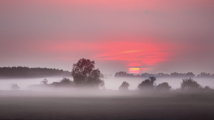 zachód słońca na mokradłach Podlasia © Janusz Lipiński