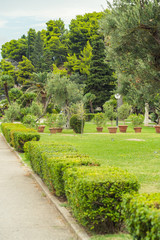 Decorative plants grow in a beautiful park