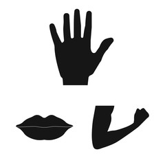 Vector illustration of human and part sign. Set of human and woman stock vector illustration.