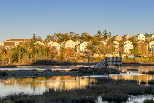 Houses on Belchers Marsh Park cast reflections onto the surface of the pond, autumn October 17, 2014.