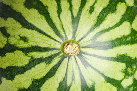 Close up top view green watermelon background