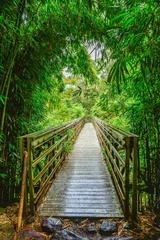 Fototapete Rund Brücke im Bambuswald © Michael