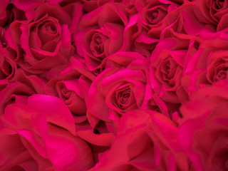 beautiful artificial flowers, decorative hand craft