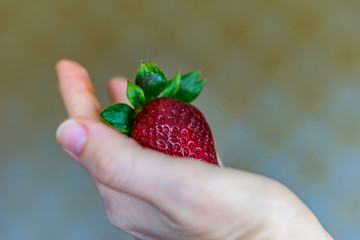 Close-up of hand with juicy ripe strawberries. Vintage background, shallow depth of focus. Concept...