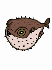 cartoon illustration  Puffer fish © Serkan