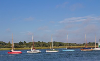 Line of Moored Sailboats with Shoreline in Background