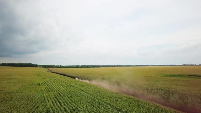 The car is going on a dirt road through a field of corn. 4k