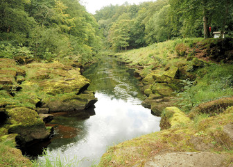Fototapeta na wymiar River Strid West Yorkshire