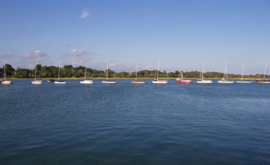Fototapeta na wymiar Line of Moored Sailboats with Shoreline in Background