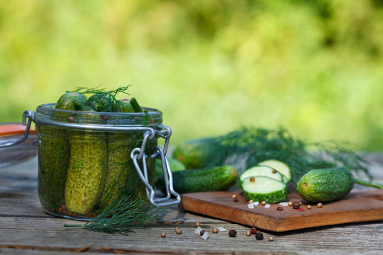 Homemade pickles in jars with dill. Outdoor image, green background.
