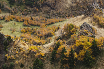 紅葉する浅間山湯ノ平高原