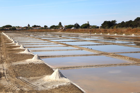 Penibel Bilder Durchsuchen 1,090 Archivfotos, und