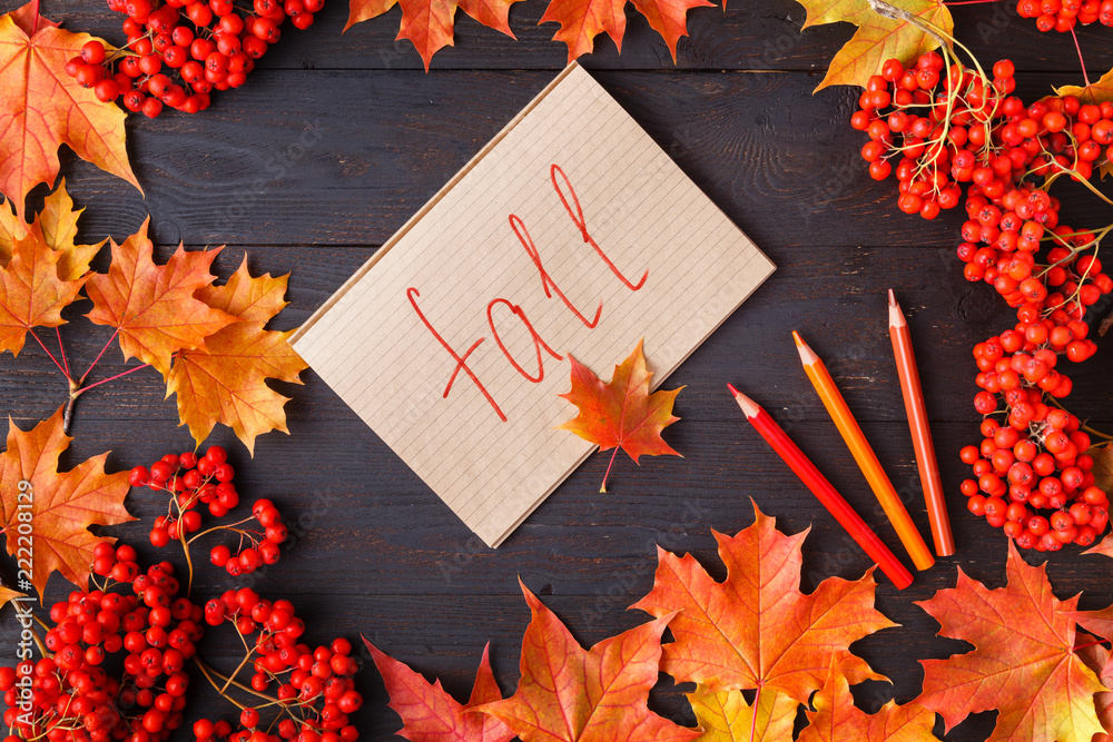 Sticker tag with the words fall and a colorful autumn leaf in the background