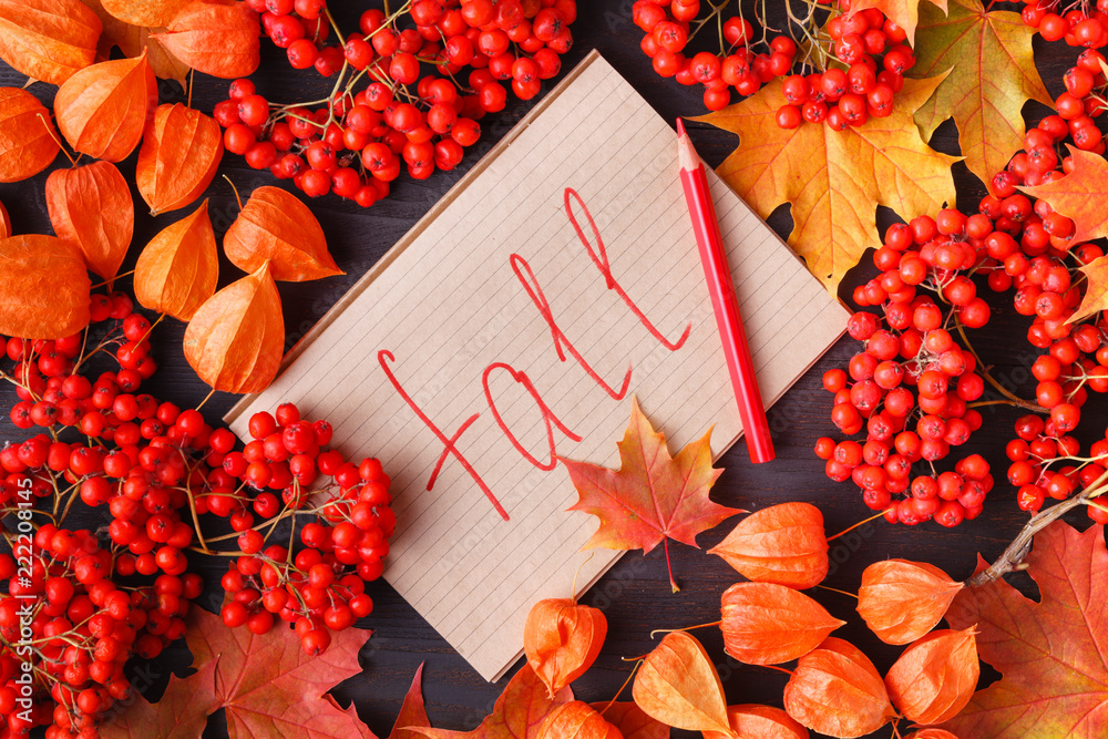 Wall mural tag with the words fall and a colorful autumn leaf in the background