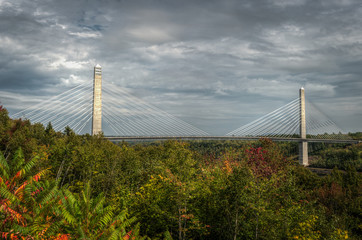 Penobscot Narrows Bridge Over Trees