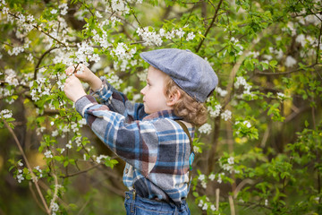 Naklejka na ściany i meble Young blonde boy posing in blooming orchard in springtime.