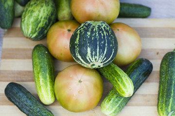 Organic tomatoes, fresh cucumber and unripe watermelon