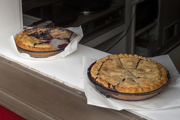 Pies in the Window © hkuchera