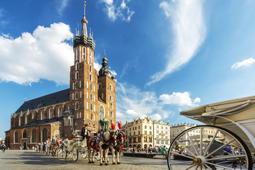 Fototapeta Krakow - View of Old Town in a sunny Day  - Close up of Horses in Square Rynek Główny obraz