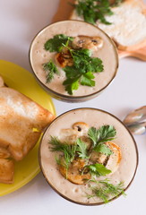Food. Cream soup with сhampignon, greens, toasts
