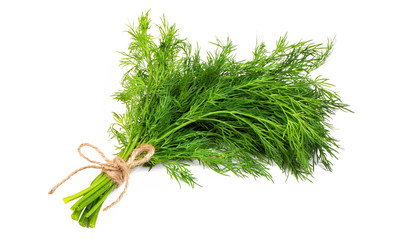 Bouquet of fresh dill bandaged with rope