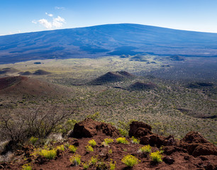 View from Mauna Kea: Mauna Loa and cinder cones on the saddle.