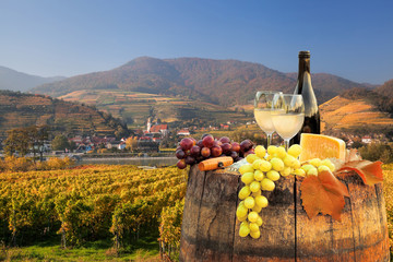 White wine with barrel on famous vineyard in Wachau, Spitz, Austria