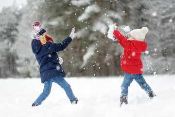 Two adorable little girls having fun together in beautiful winter park. Beautiful sisters playing in a snow.