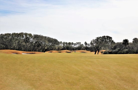 Golf course greens in a tropical setting