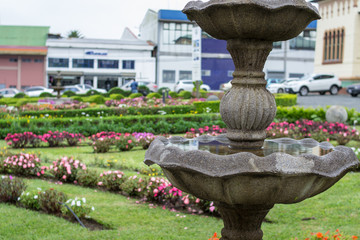 Obraz premium a fountain in the middle of the garden