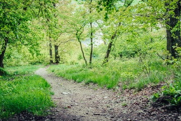Willingen traumhafte Landschaft
