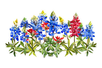 watercolor bluebonnets wildflower bunch - 222212956