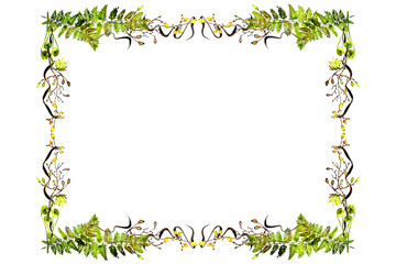 watercolor fern frame - 222213145
