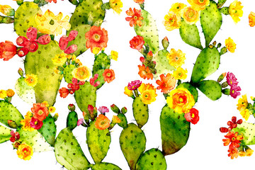 watercolor prickly pear cactus - 222213309