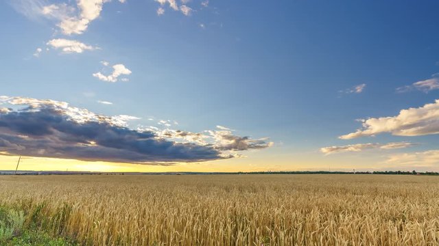Time lapse of sunset above the wheat field in european countryside