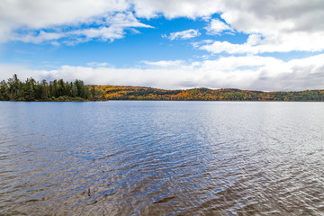 Fall Colours in Algonquin