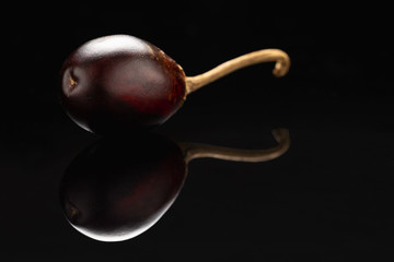 Chile cascabel