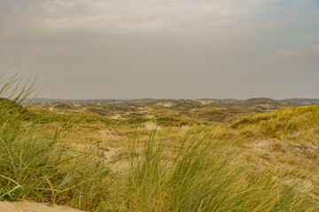 Obraz premium Zaandvort Dune View in North Holland