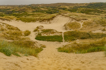 Zandvoort dune in North Holland