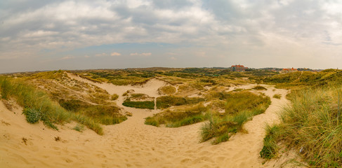 Zaandvort Panorama Dune View in North Holland - obrazy, fototapety, plakaty